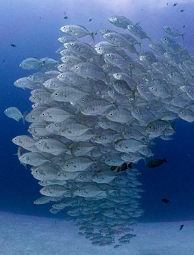 49a2fa182d25387bbdceb5533134199b_조수현 - KakaoTalk_20260203_171138439_03k.jpg